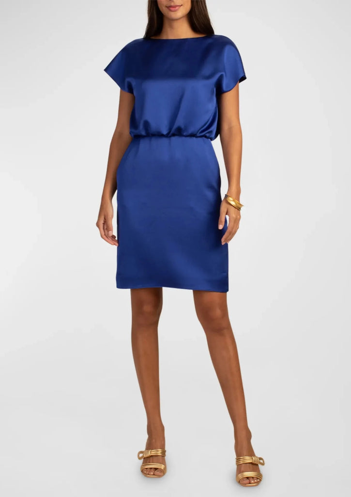 Amuse Dress | Blue